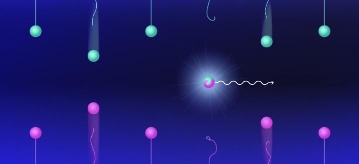 Light emission resulting from a mutual annihilation of electrons and holes is the operating principle of semiconductor lasers. @ Elena Khavina/MIPT Press Office