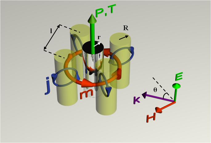 This is a visualization of a metamolecule, consisting of a PEC cylinder and four dielectric cylinders around. P stands for electric dipole moment of the conductor and T stands for toroidal moment of the dielectric coating. @ NUST MISIS