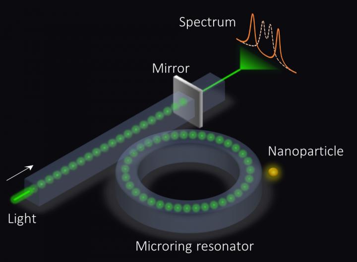 An exceptional surface-based sensor. The microring resonator is coupled to a waveguide with an end mirror that partially reflects light, which in turn enhances the sensitivity. @ Ramy El-Ganainy and Qi Zhong