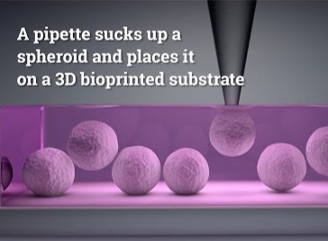 Machine sucks up tiny tissue spheroids @ Ozbolat Lab / Penn State
