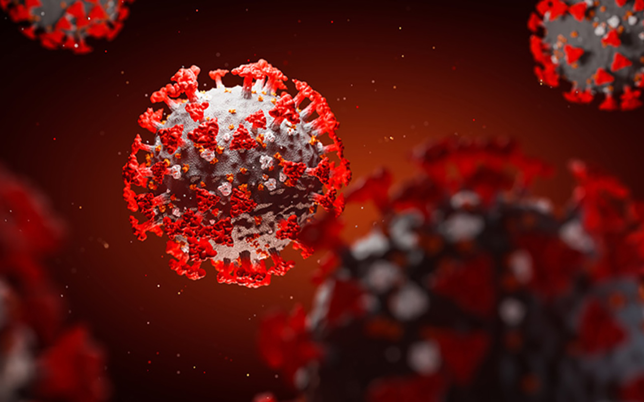 A graphic of the SARS-CoV-2 virus. @ UC San Diego