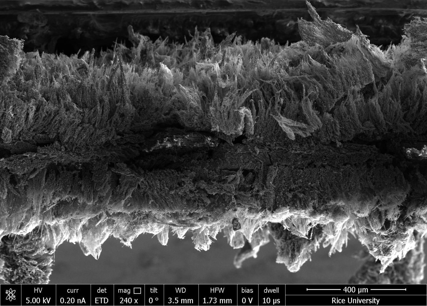 Seen in an electron microscope image, micron-scale sheets of graphene created at Rice University form a two-layer air filter that traps pathogens and then kills them with a modest burst of electricity. @ Tour Group/Rice University