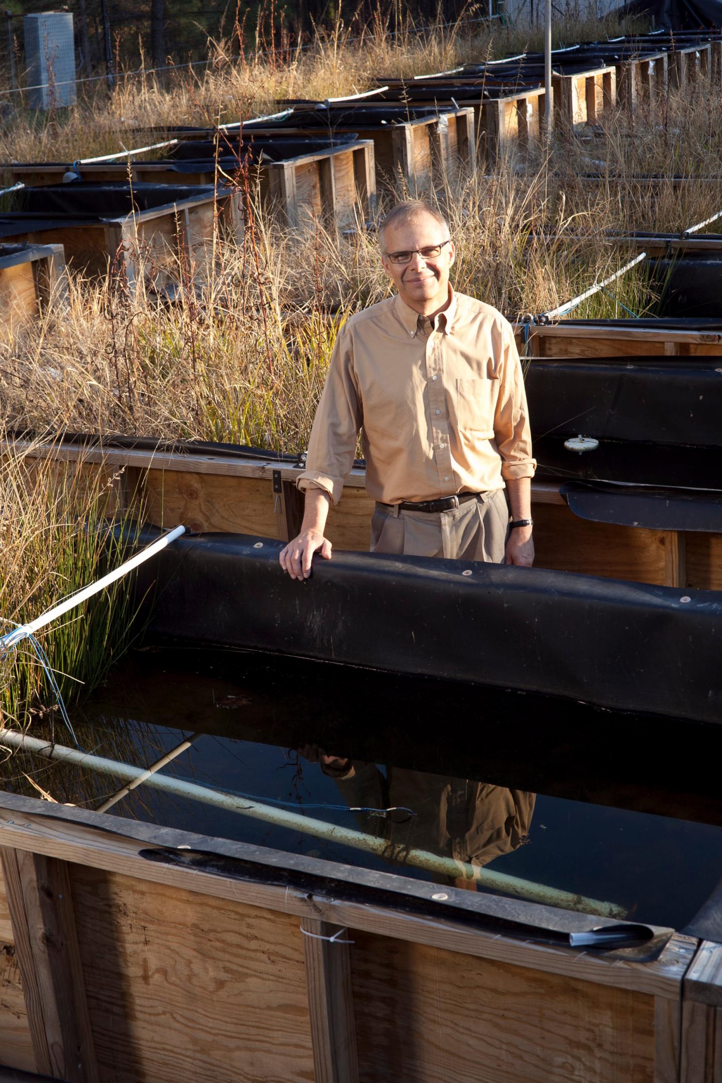 Mark Wiesner stands with rows of mesocosms -- small, manmade structures containing different plants and microorganisms meant to represent a natural environment with experimental controls. @ Duke University