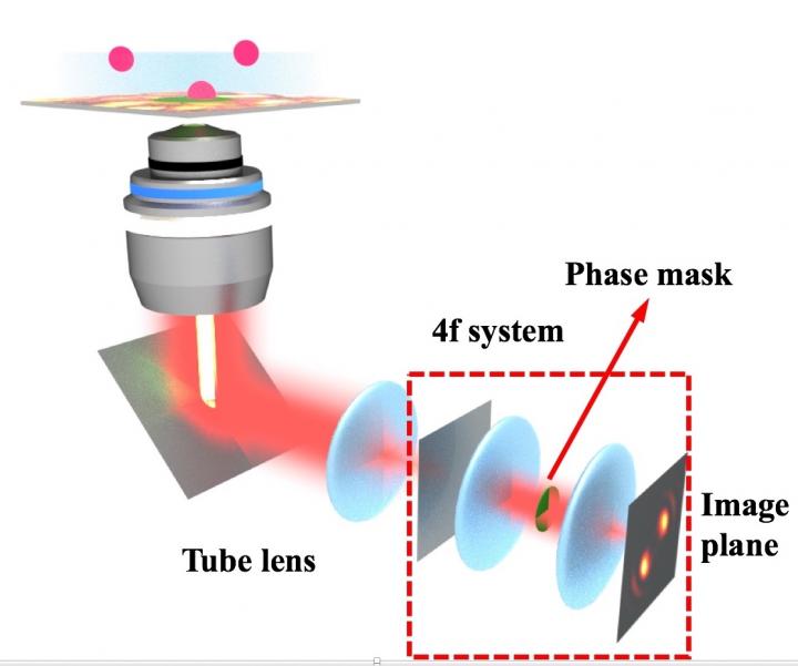 Rice University researchers have created a method to design custom masks that transform 2D fluorescent microscopy images into 3D movies. @ Landes Research Group/Rice University