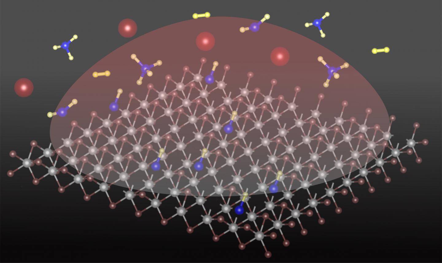 Schematic of plasma assisted carbon-hydrogen species doping in the WS2 lattice. @ Fu Zhang/Penn State