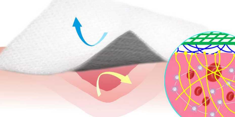 Promotes healing and can subsequently be easliy removed: a new kind of bandage coated with silicone and carbon nanofibres. @ Li Z et al. Nature Communications 2019