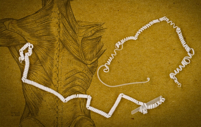 The tiny coils in the fiber developed by MIT researchers curl even tighter when warmed up. This causes the fiber to contract, much like a muscle fiber. @ Felice Frankel, edited by MIT News