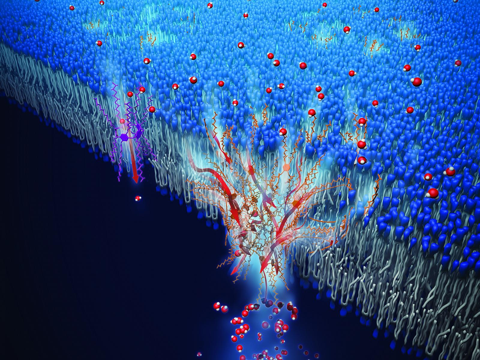 Artificial water channels enable fast and selective water permeation through water-wire networks @ Erik Zumalt, Cockrell School of Engineering, The University of Texas at Austin
