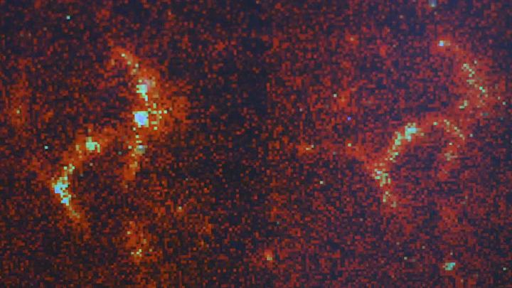 Amyloids are so tiny that they can't be visualized using conventional microscopic techniques. A team of engineers at Washington University in St. Louis has developed a new technique that uses temporary fluorescence, causing the amyloids to flash, or 'blink,' and allowing researchers to better spot these problematic proteins. @ Washington University in St. Louis