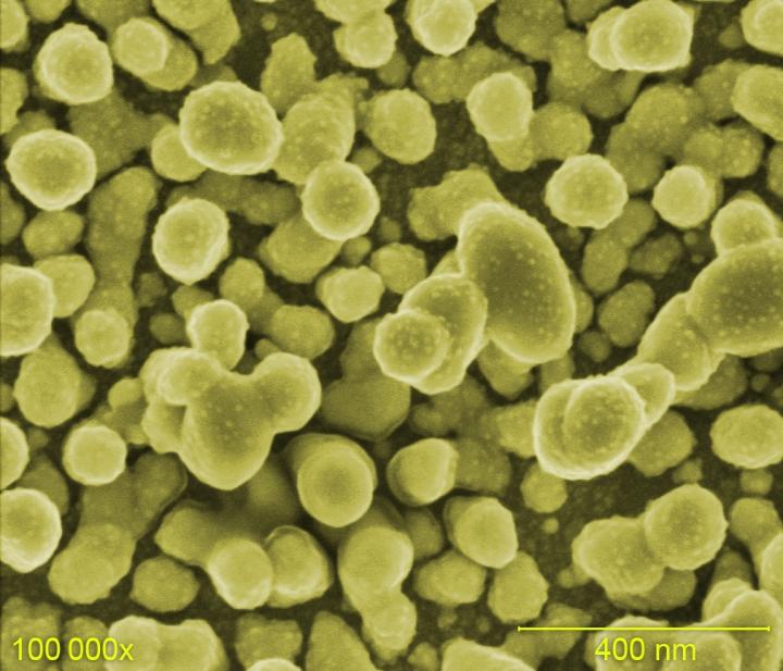 This is the microscopic image of the SERSitive substrate, false colors. @ IPC PAS