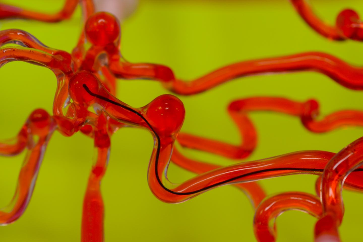 MIT engineers develop magnetically steerable robotic thread (in black), small enough to work through narrow spaces, such as the vasculature of the human brain. Researchers envision the technology may be used in the future to clear blockages in patients with stroke and aneurysms. @ MIT