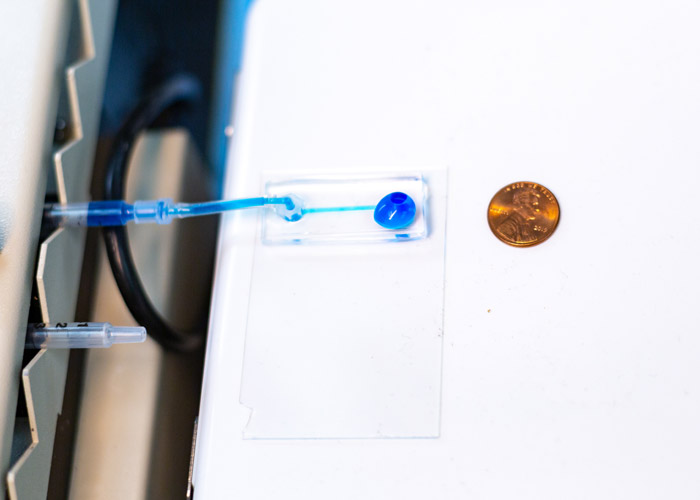 UT Dallas and UT Southwestern Medical Center researchers use microfluidic devices (left) to fabricate the collagen. Inside these rectangle chunks of clear plastic are channels about the width of a strand of human hair. @ UT Dallas