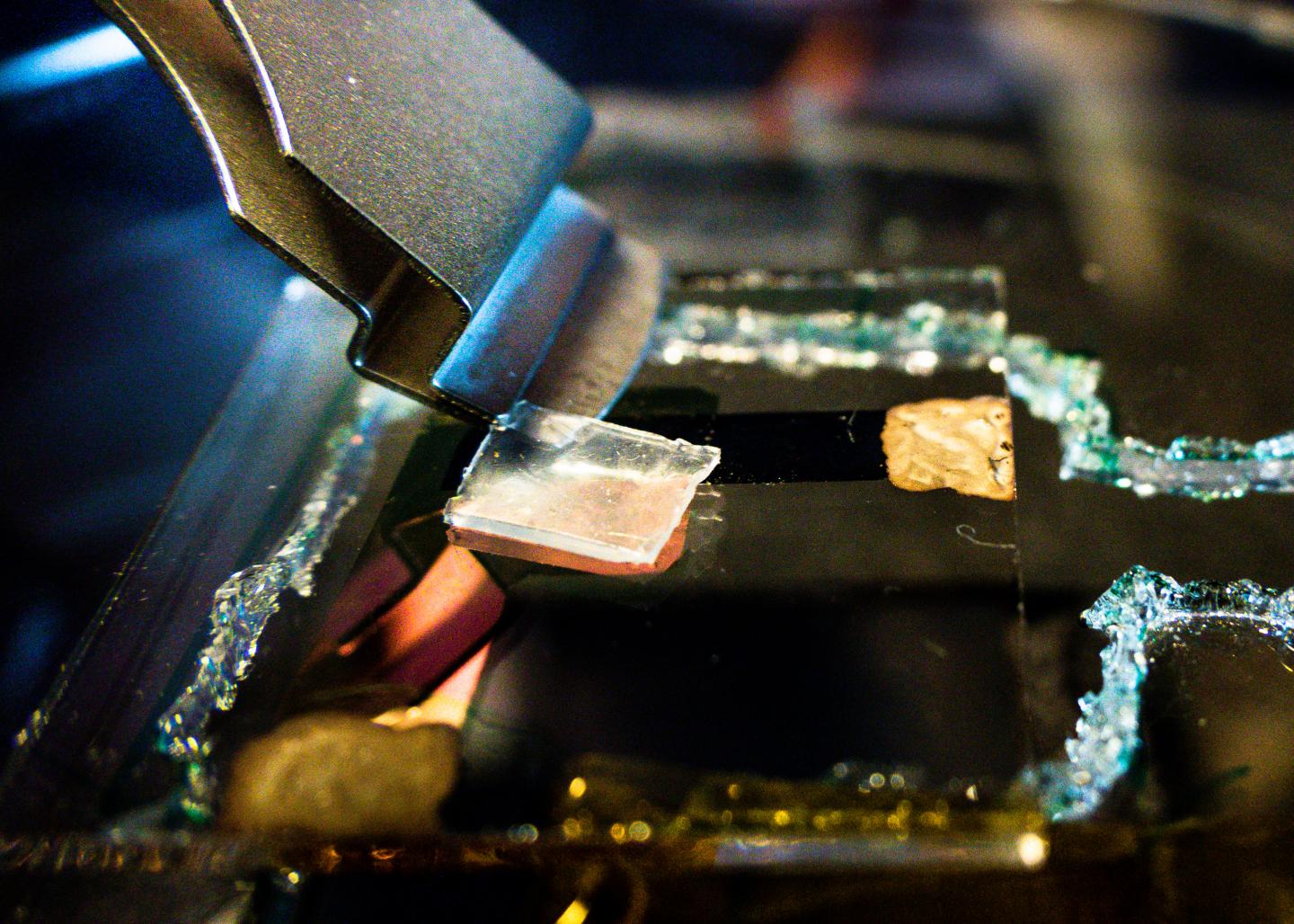 The sensor that can measure changes in body temperature, and react to both sunlight and warm touch. @ Thor Balkhed