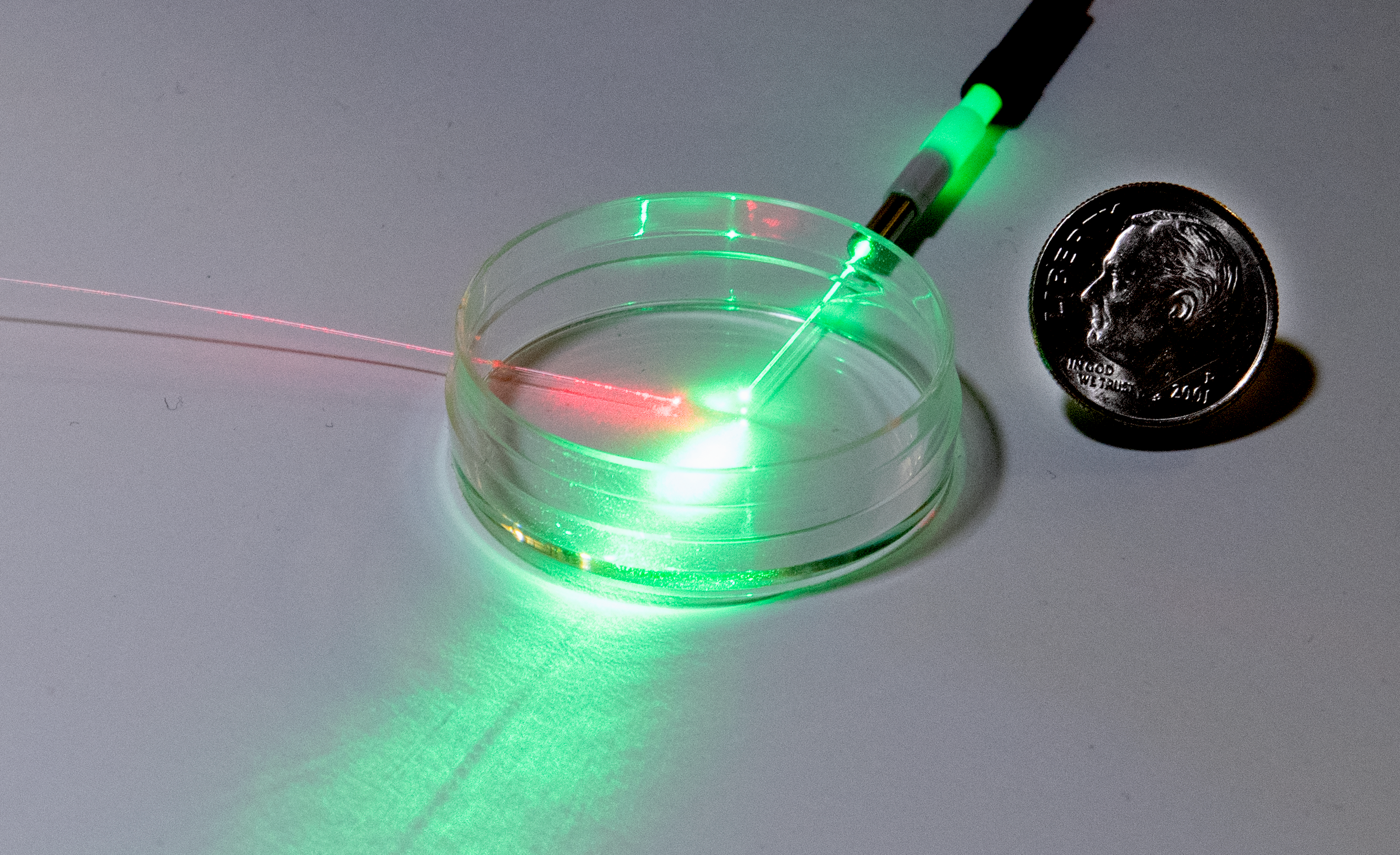 An empty petri dish with two optical fibers, illustrating one version of the researchers’ experiment. The left-hand fiber (usually shining infrared light, but depicted here as visible red light) is a temperature sensor. The top fiber shines green, red or blue light into the petri dish to adjust the signal that the temperature sensor measures. @ Jennifer Lauren Lee/NIST
