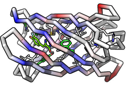 A depiction of a beta barrel protein created at the Institute for Protein Design @ Institute for Protein Design
