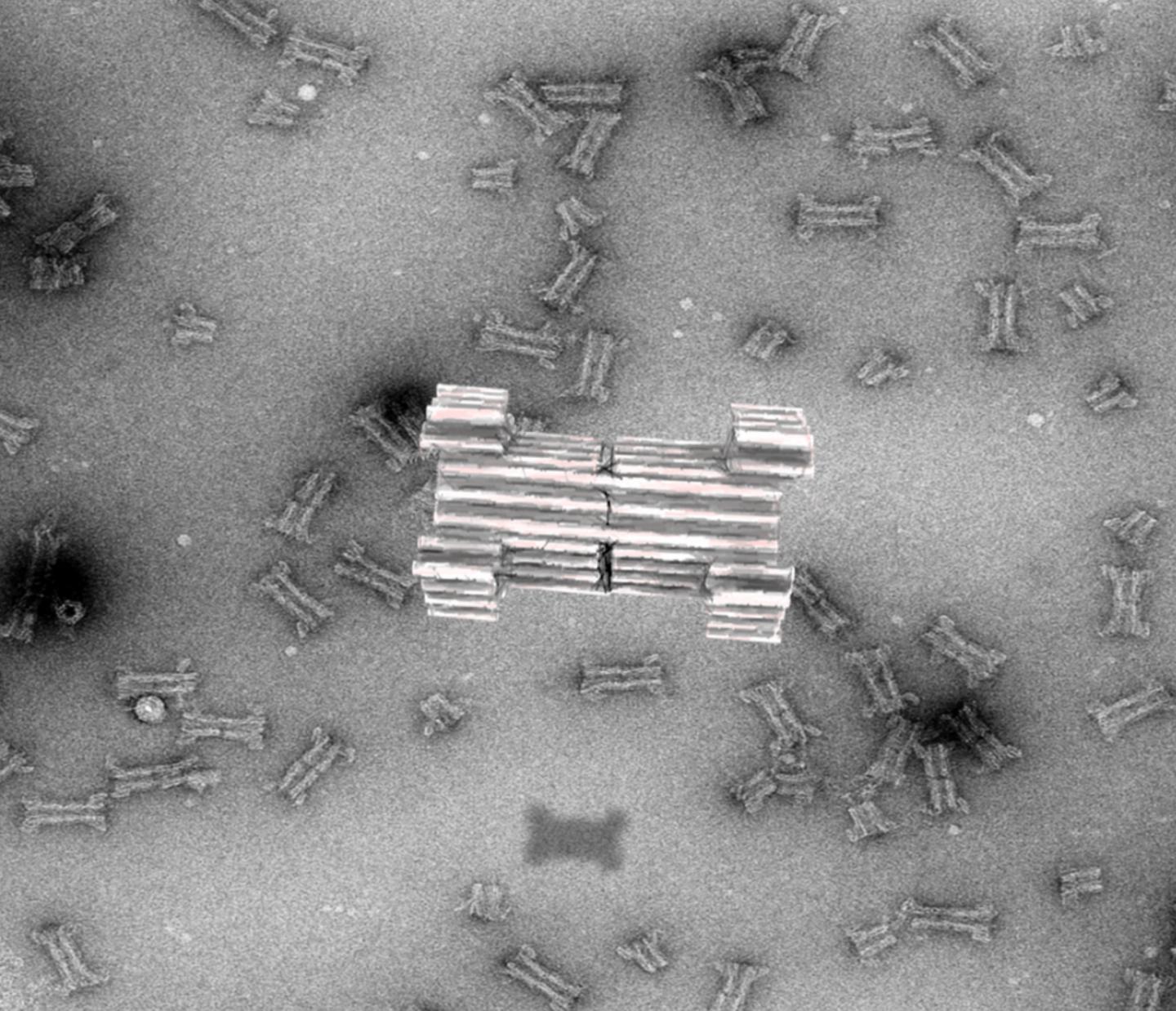The construction of a synthetic DNA nanopore capable of selectively translocating protein-size macromolecules across lipid bilayers. @ Rasmus Peter Thomsen, Aarhus University