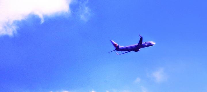 Two challenges need to be overcome to realise affordable renewable jet fuels, according to the researchers. @ Sasa Liu