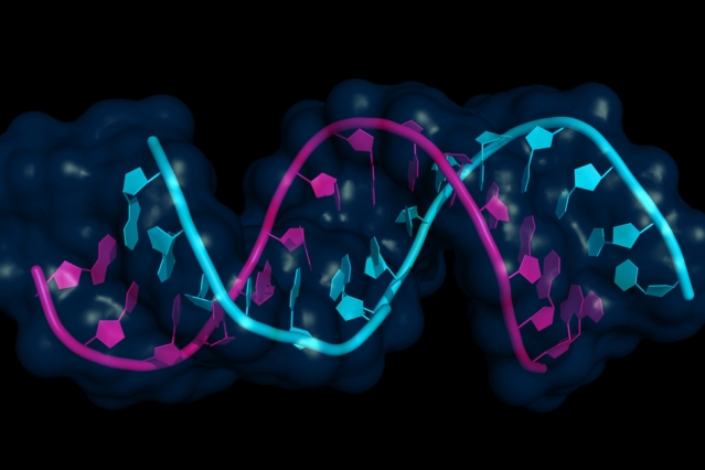 MIT chemical engineers have developed a new series of lipid nanoparticles to deliver RNA vaccines. @ MIT