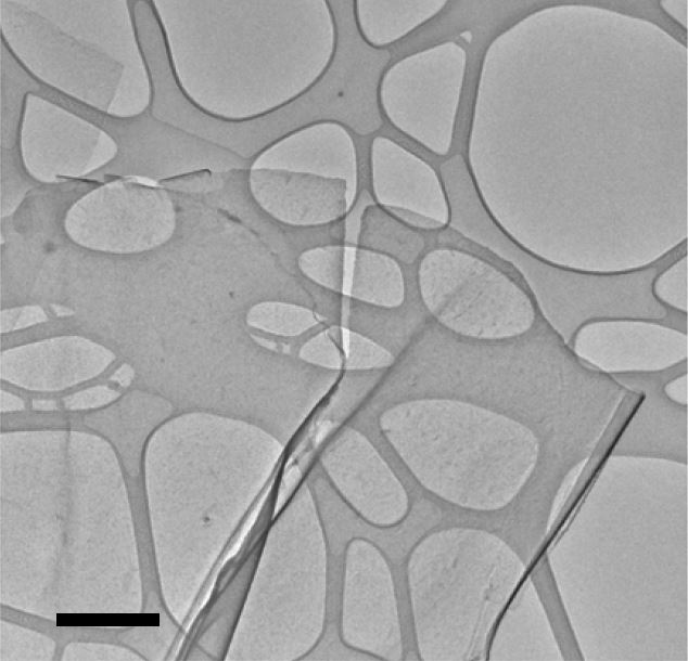 Transmission electron microscope (TEM) image: atomically thin (monolayer) tin-sulfide nanosheet (scale bar is 500 nm) @ FLEET