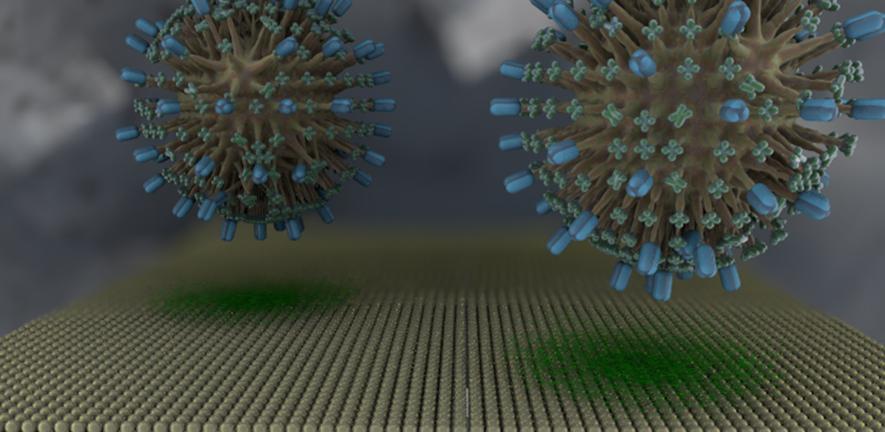Researchers have developed a human cell 'membrane on a chip' that allows continuous monitoring of how drugs and infectious agents interact with our cells, and may soon be used to test potential drug candidates for COVID-19. @ Susan Daniel/Cornell University