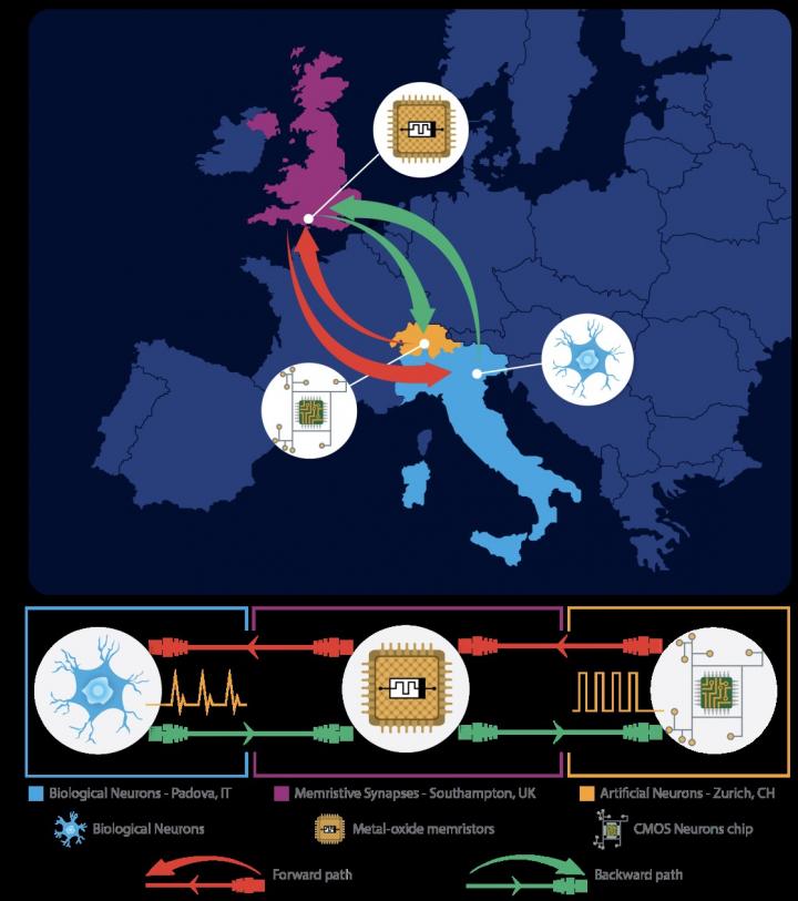 The virtual lab connecting Southampton, Zurich and Padova. @ University of Southampton