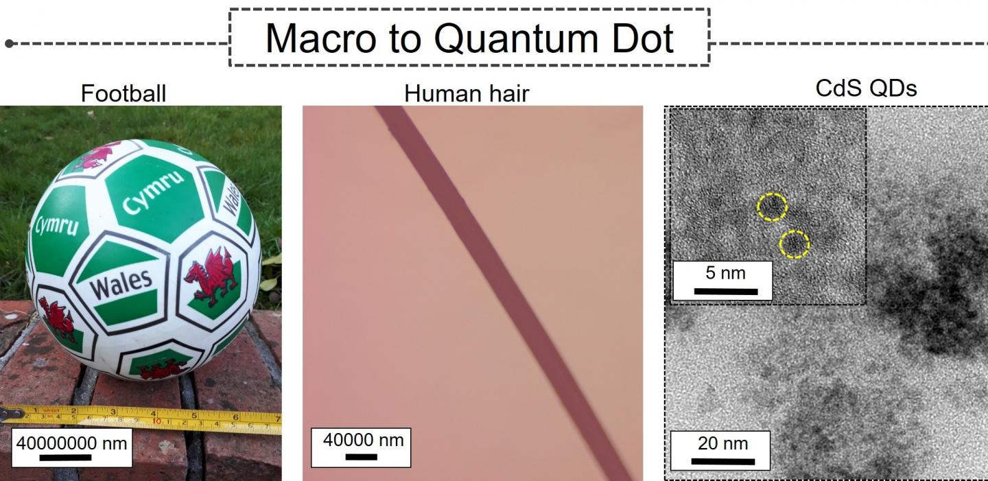 This image shows a size comparison in nanometres of a football, human hair and quantum dots, which are less than 10 nanometres. @ S Pitchaimuthu, Swansea University