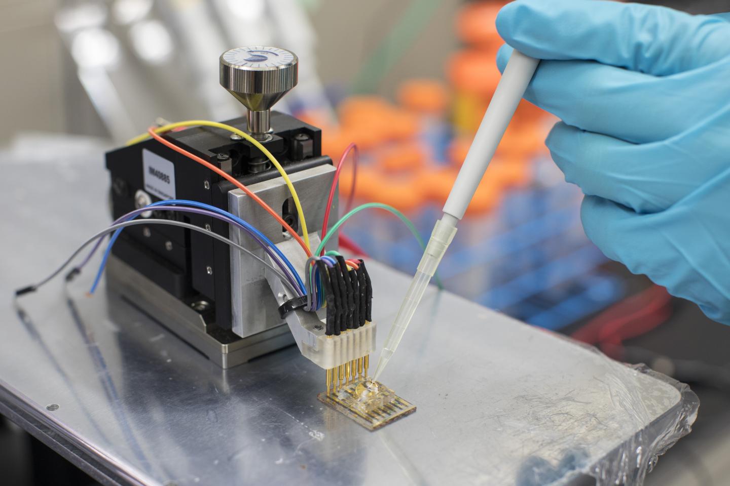 A low-cost sensor made from semiconducting plastic could be used to diagnose or monitor a wide range of health conditions, such as surgical complications or neurodegenerative diseases. @ KAUST