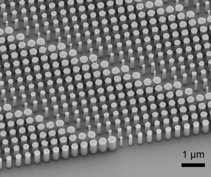 This is a scanning electron micrograph image of a portion of a fabricated metalens. @ Harvard SEAS