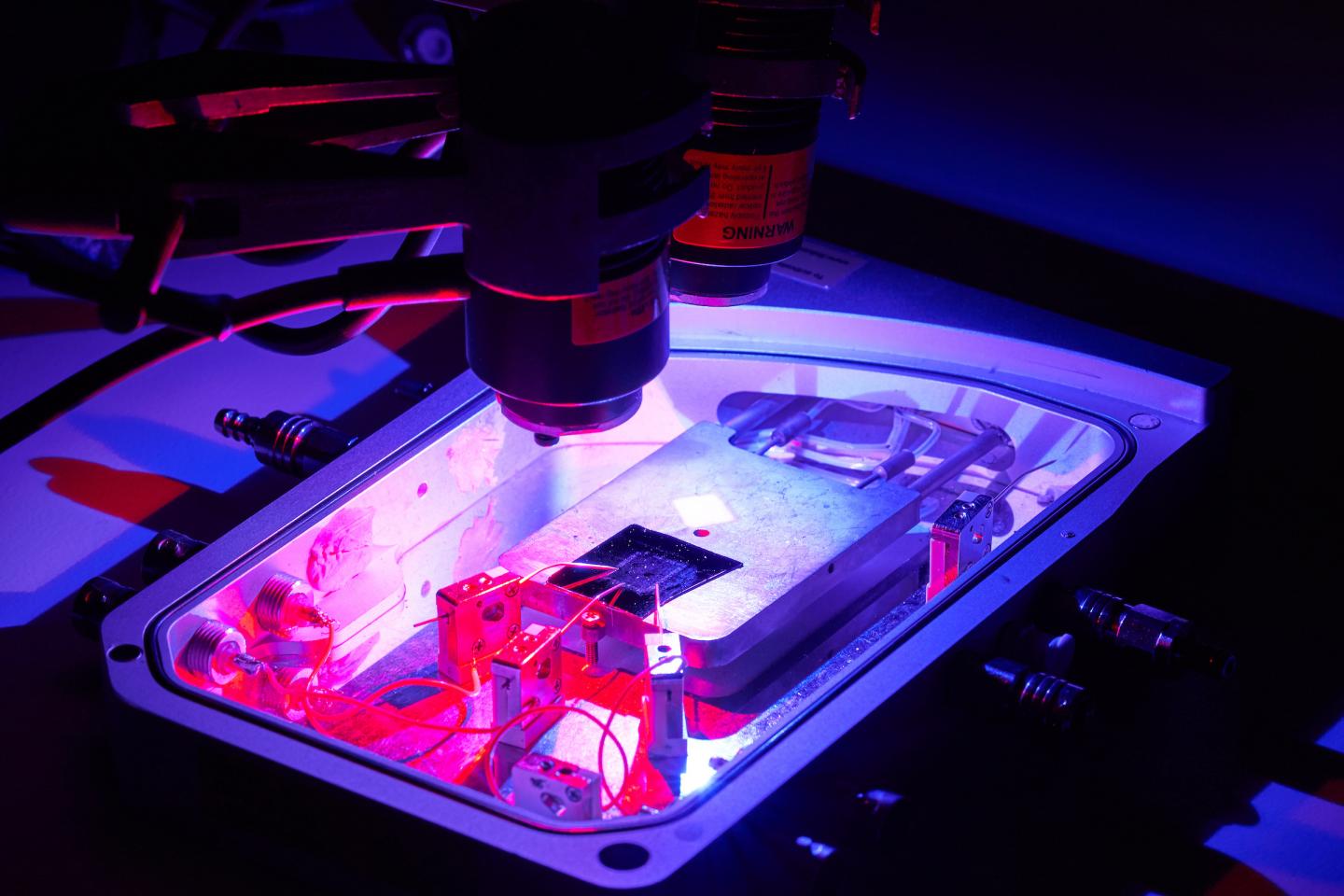 The new chip is based on an ultra-thin material that changes electrical resistance in response to different wavelengths of light. @ RMIT University