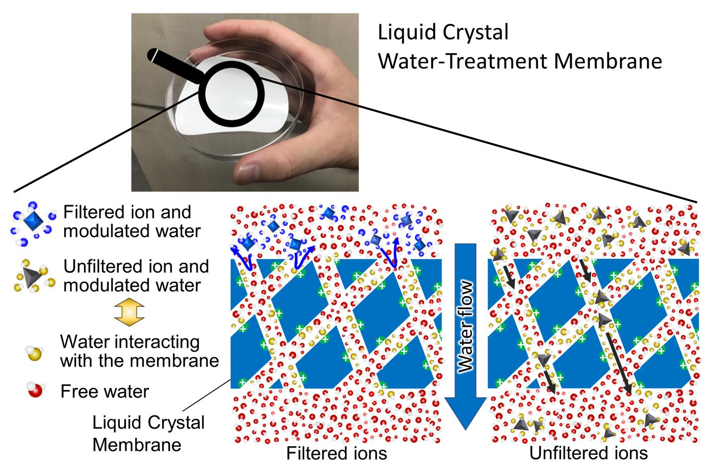 The subnanoporous liquid-crystalline water treatment membrane can be highly selective about what it lets pass through.